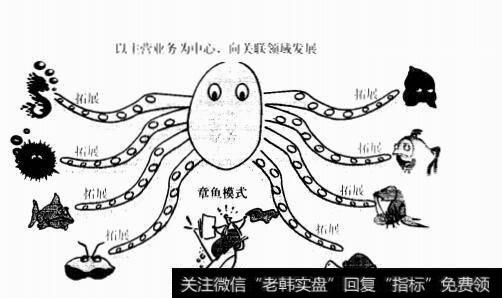 进攻型的多元化战略