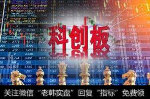 细分龙头带队“赶考” 科创板后备力量源源不断