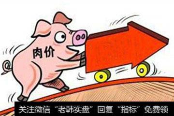 沪指跌逾1% 猪肉<a href='//m.sasasearch.com/gushiyaowen/290163.html'>板块</a>表现抢眼