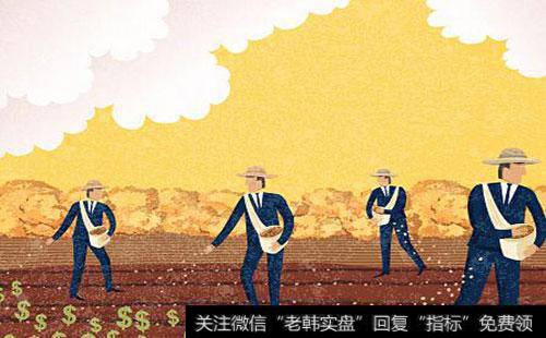 经纪人在投资中的作用是什么?