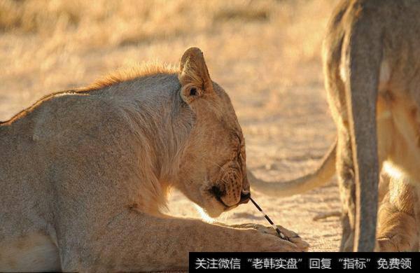 卓胜微创新高之形态模仿；机构<a href='//m.sasasearch.com/cgjq/289638.html'>出货</a>高位消费