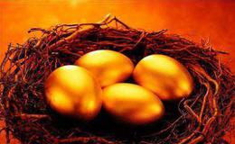 企业重组与并购,风险投资,资产管理详解