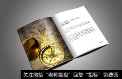 管理者融资收购(MBO)