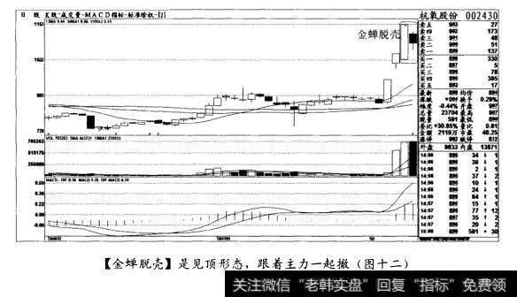 [金蝉脱壳]是见顶形态，跟着主力一起撤(图十二)