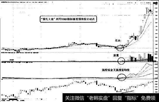 金丰投资(600606)个股图示