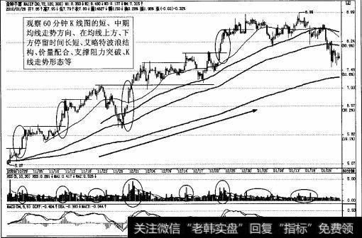 图2-69强势股金种子酒60分钟K线图