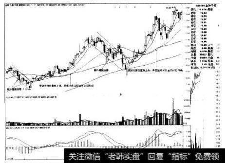 金种子酒日线图