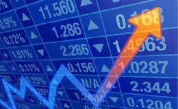 如何进行公司业绩和发展前景分析？需要分析哪些数据？