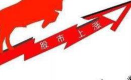 窥知华体会赛事竞猜的底细：我悄悄地蒙上股民的眼晴