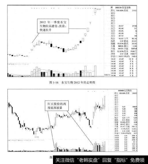 图1-16东宝生物2012年的走势图  图1-17红豆股份2012年的走势图