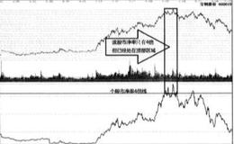 什么是华体会ap？什么是净资产？