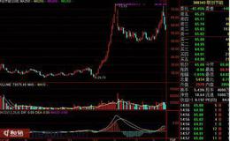 牛市中投资龙头股需要注意什么要点?