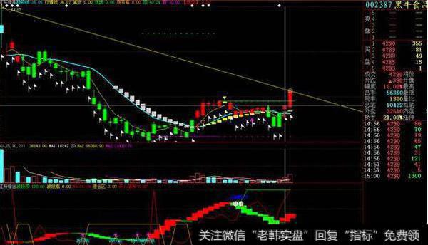 真实成交量彩带(大智慧)