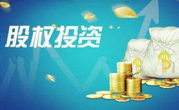 优势投资者的七项修炼：简以至纯