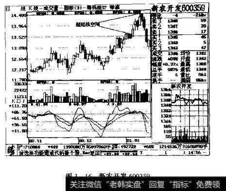 图3一16  <a href='//m.sasasearch.com/ggnews/258442.html'>新农开发</a>600359