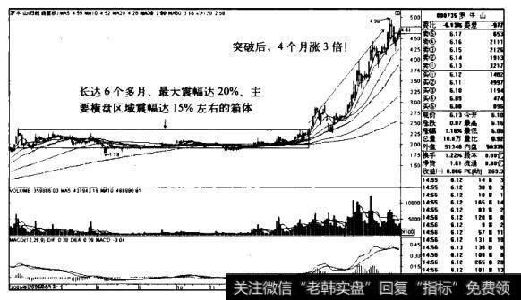 罗牛山K线图（2006.6-2007.3）