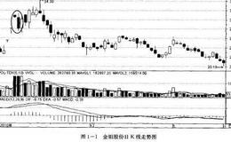 <em>如何炒股</em>：控制风险勇于投资