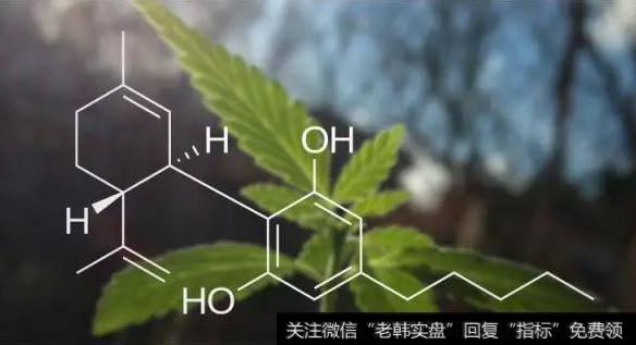 芬太尼管制进一步加强,工业大麻题材<a href='//m.sasasearch.com/gainiangu/'>概念股</a>可关注
