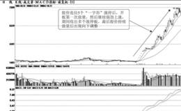 <em>短线强势股</em>的连续涨停式组合形态