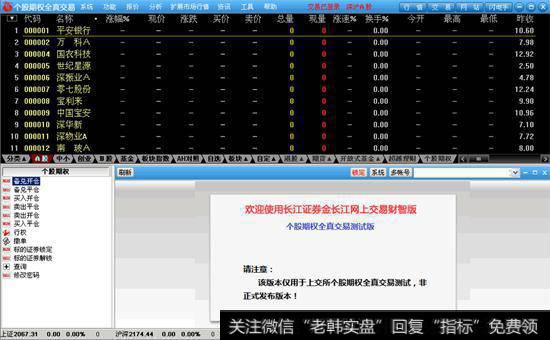 初级格式对小企业有何意义？这类格式如何作为S-1表的替代文件？