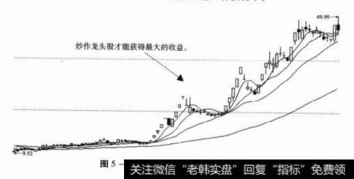 图5-1002166莱茵生物日K线图