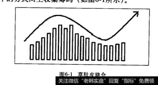 草肚皮建仓？草肚皮建仓分析？