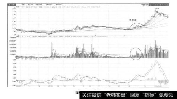 草肚皮建仓？草肚皮建仓分析？