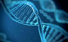 打造以癌症防治为核心的健康产业集群,防癌题材概念股可关注