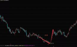 华体会体育客服热线大全丨K线组合之V形底