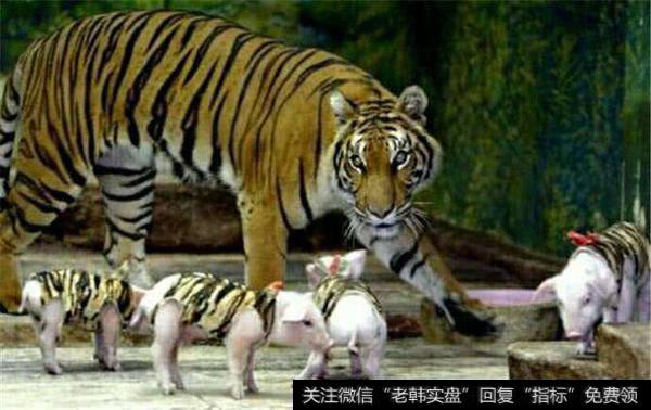 鲁商发展有科创板概念；机构锁仓<a href='//m.sasasearch.com/scdx/260047.html'>共达电声</a>