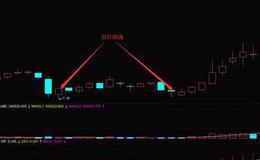 华体会体育客服热线
大全丨K线图可以低吸买入的方法