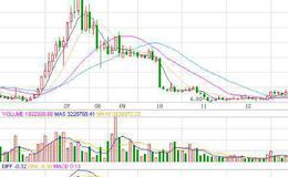 假如新股是公民，可以给它们划分几个等级？