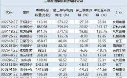 证金、汇金三季度新建仓13股！这家公司身兼华为与苹果概念 获增持1亿股！