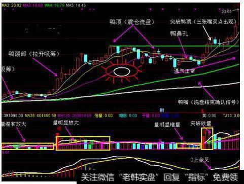 [艾略特<a href='//m.sasasearch.com/bolanglilun/'>波浪理论</a>]C浪的特性是什么？