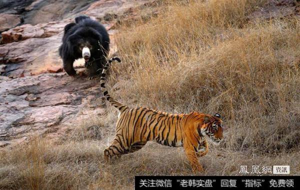 机构<a href='//m.sasasearch.com/cgjq/289638.html'>出货</a>科技股;游资继续区块链