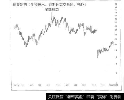 图18-5尾部形态