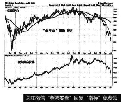 金甲虫指数