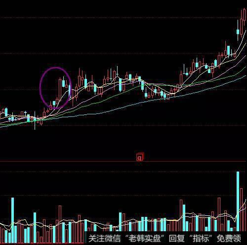 华体会体育客服热线出水芙蓉形态