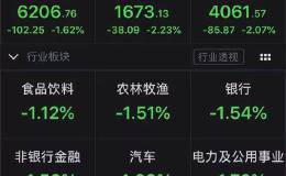 A股惊魂一日 机构现分歧！“把握做多窗口”PK“耐心等待进攻信号” 该听谁的