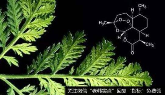我国科研人员培育出新型青蒿,青蒿题材<a href='//m.sasasearch.com/gainiangu/'>概念股</a>可关注
