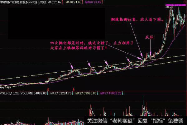 长阴倒把杨柳实战案例