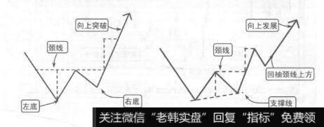 图8-21W形底形态示意图