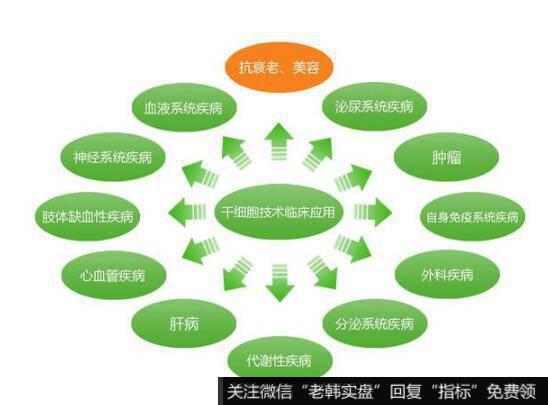 站在干细胞风口上，国内干细胞龙头中源协和能否腾飞