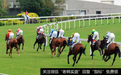 海南赛马发展指导意见已提交审批,赛马题材<a href='//m.sasasearch.com/gainiangu/'>概念股</a>可关注