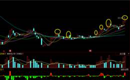 盛洋科技高位遭公募基金砸盘全线出逃，低位却现资金进入痕迹