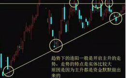 公司基本分析界面的主力动向、公司经营包括哪些栏目？