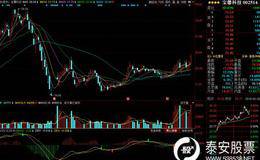 静态分析的功能分析