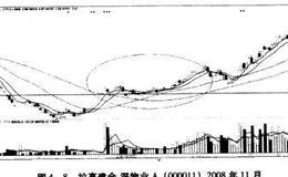<em>如何选股</em>：涨停吸货，急速拉升