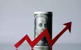 <em>如何选股</em>：捕捉强庄股