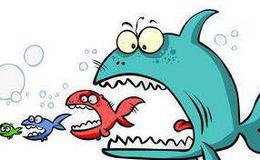 如何选股：抢反弹有纪律